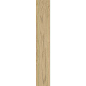 Тилия
