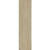 Acacia