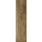 Acacia