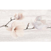 Pastel Magnolia