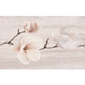 Pastel Magnolia