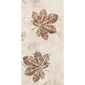 Petra Leaves