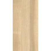Pastelli