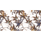 Marquina Vine
