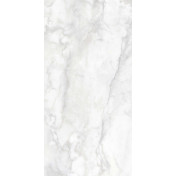 Venato
