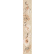 Callisto Flowers