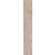 Tilia