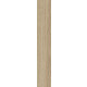 Tilia