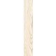 Tilia