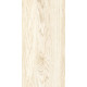 Tilia