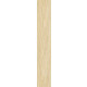 Tilia