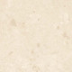 Nativa Shell